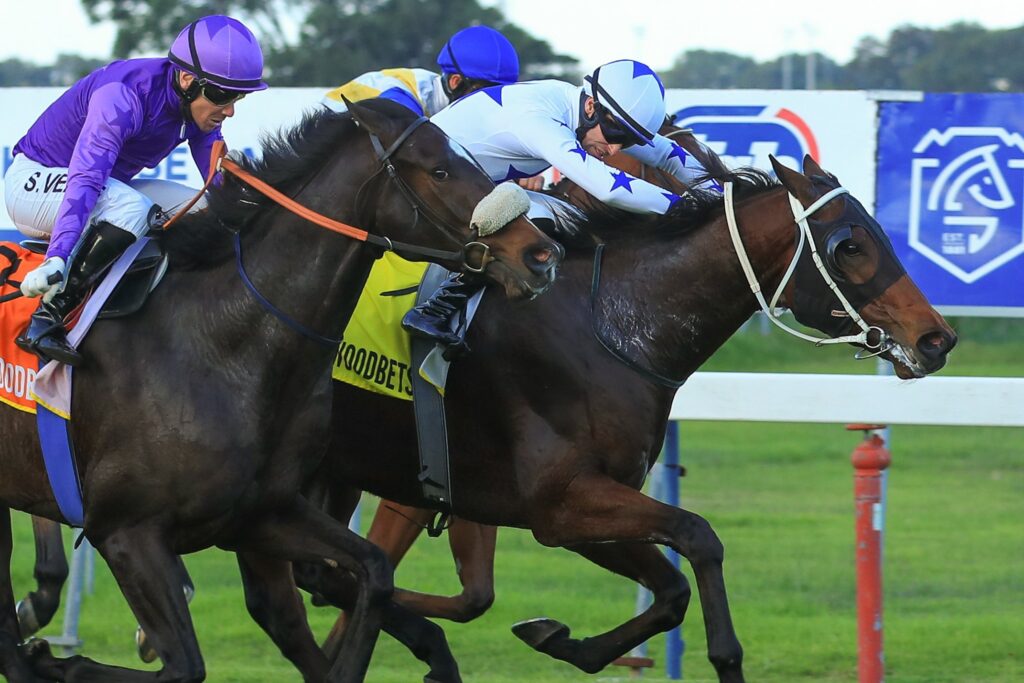 Rathnar to shrug off last Durbanville run