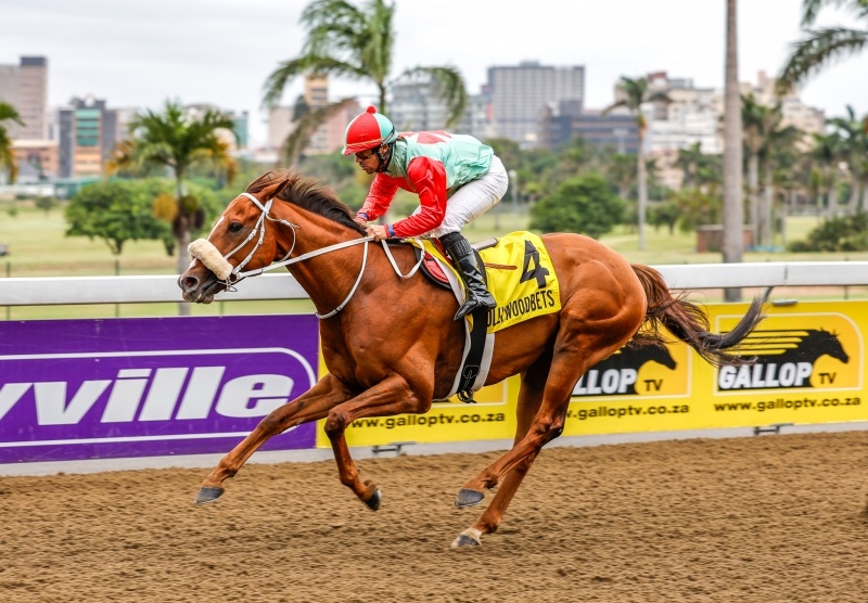 Rodriguez to be rewarded as Greyville rings the changes