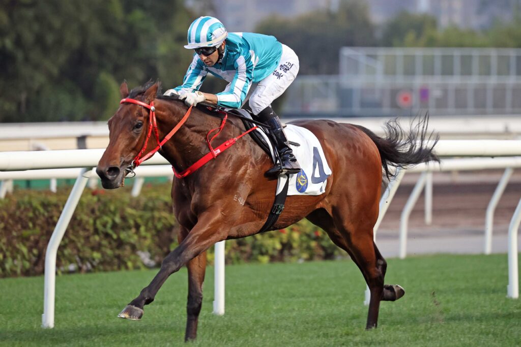 Romantic Warrior hard to oppose at Sha Tin