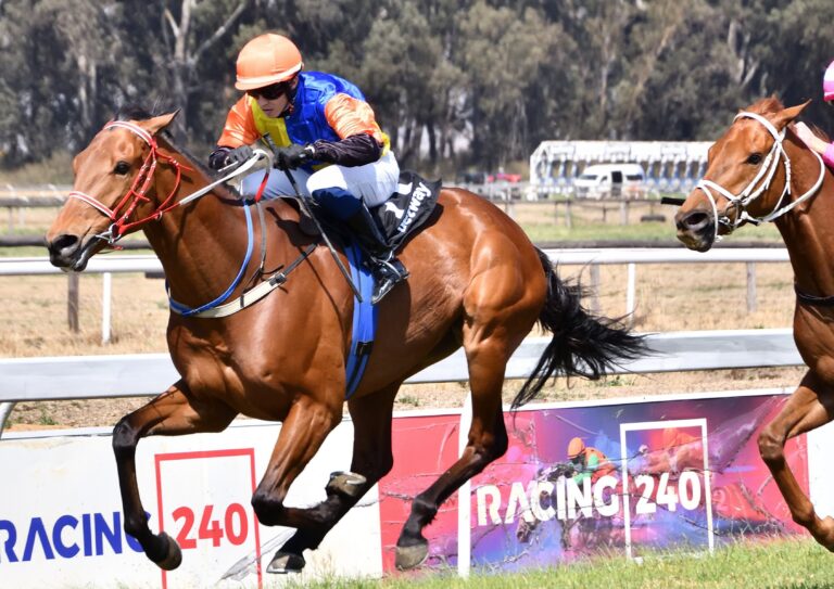 Royal Edition to strike again