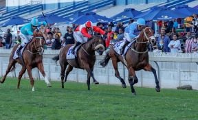 Safe Passage shows his class