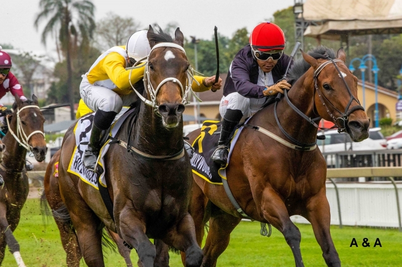 Salute to Major Tommie