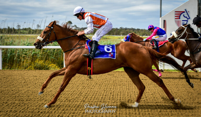 SANTA THERESE & THE JOCKEY CLUB STAKES