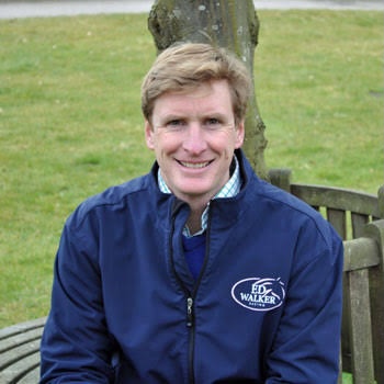 Sassy Belle Of The Ball