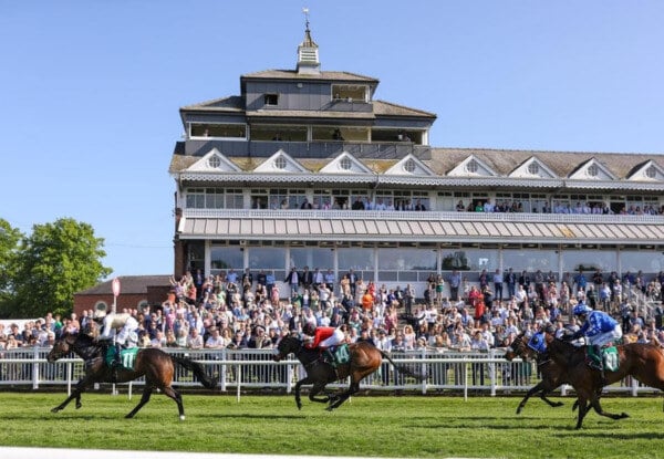 Savvy selection for Thirsk punters