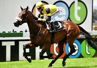 Say When to follow up