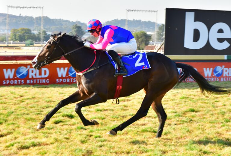 Say Yes to Summer Pudding