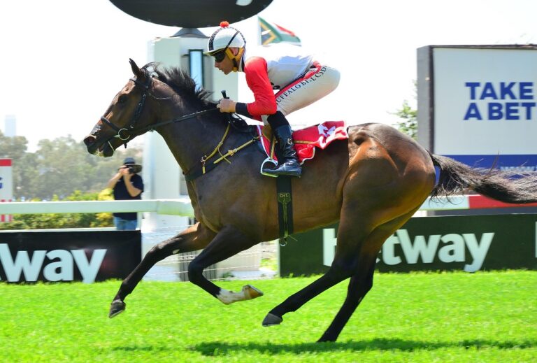 Scottsville Computaform Jackpot guide