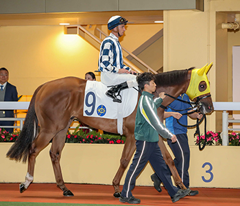 Seasons Wit Chases Hong Kong Hat-Trick