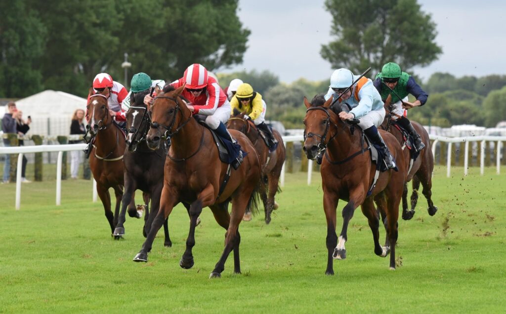 Seven Questions To Lift Ripon Trophy