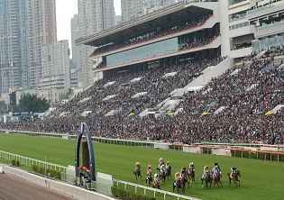 Sha Tin race-by-race analysis