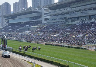 Sha Tin race-by-race previews
