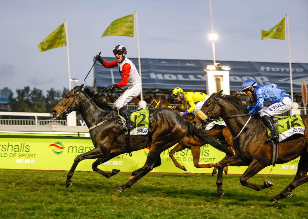 Shangani looks best in Derby