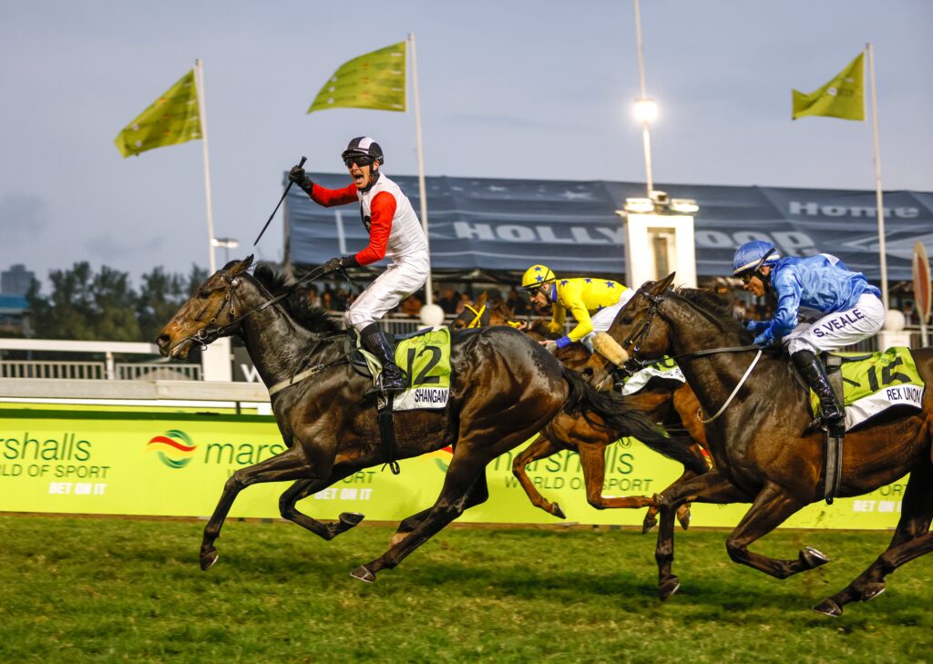 Shangani strikes Gold at Greyville