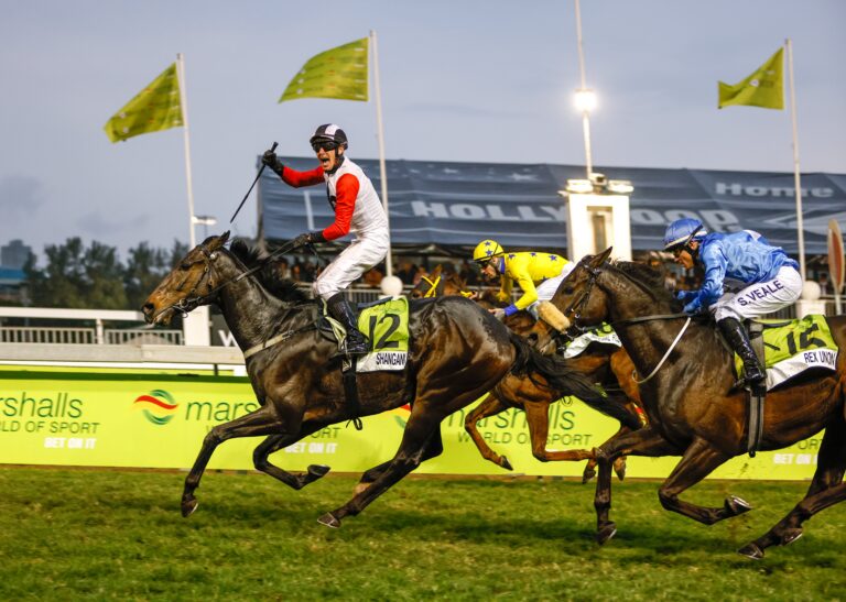 Shangani strikes Gold at Greyville