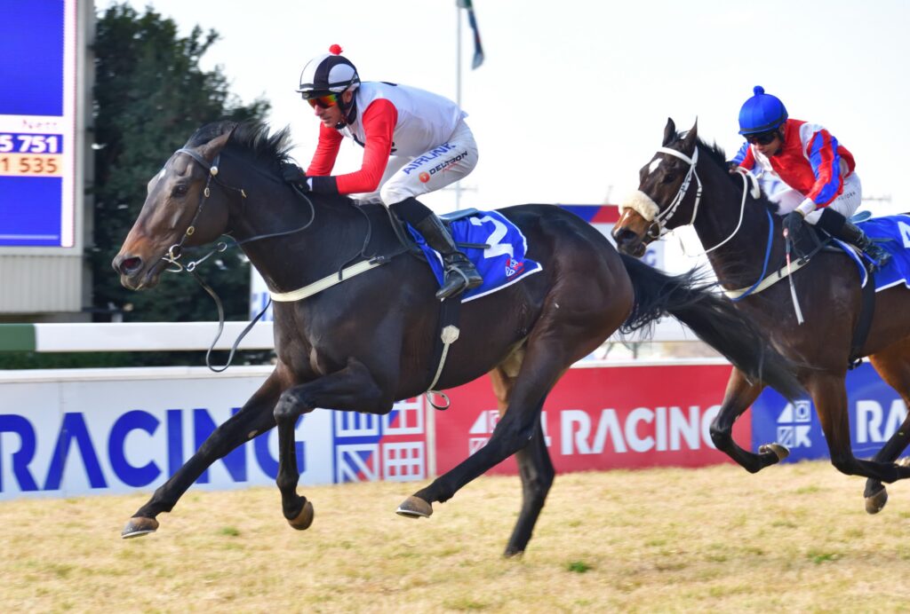 Shangani to strike Gold at Turffontein