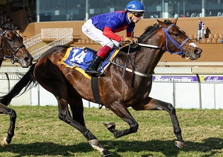 Shango weighted to win