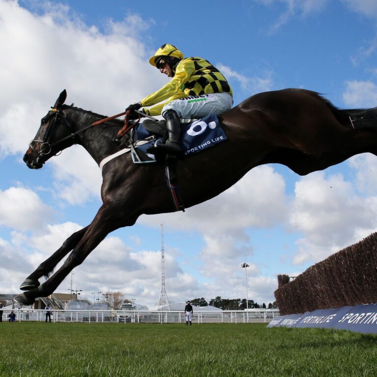 Shishkin to sparkle in Chase