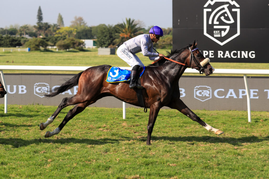 Sizzling Pick 6 on offer at hot Kenilworth meeting