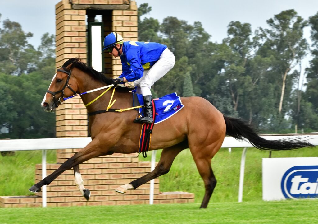 Slinky Mapimpi to edge out Billy