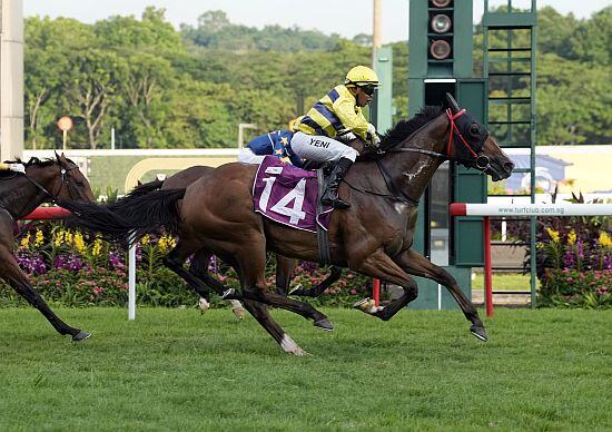 Smart Star, Muzi claim Singapore Gold Cup