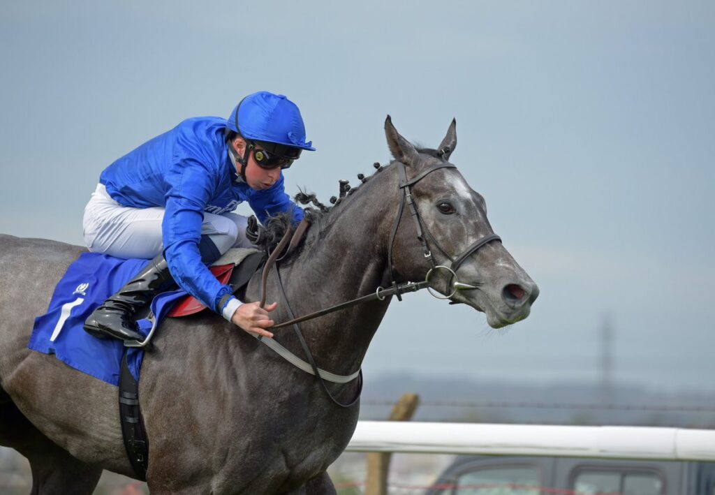 Snail’s pace should be good enough at Haydock