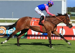 Snaith holds others to ‘Ransom’