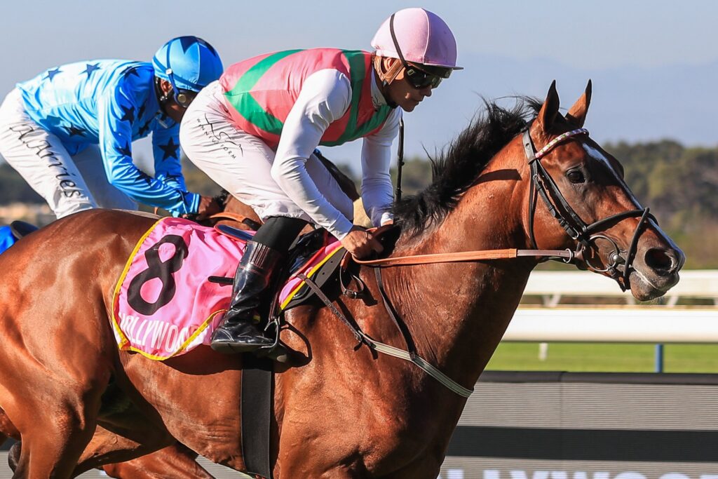 Snaith star in July line-up