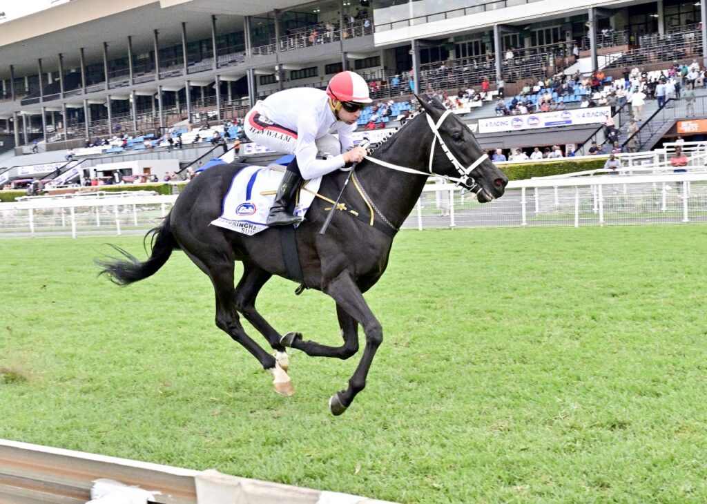 Guineas winners set the bar