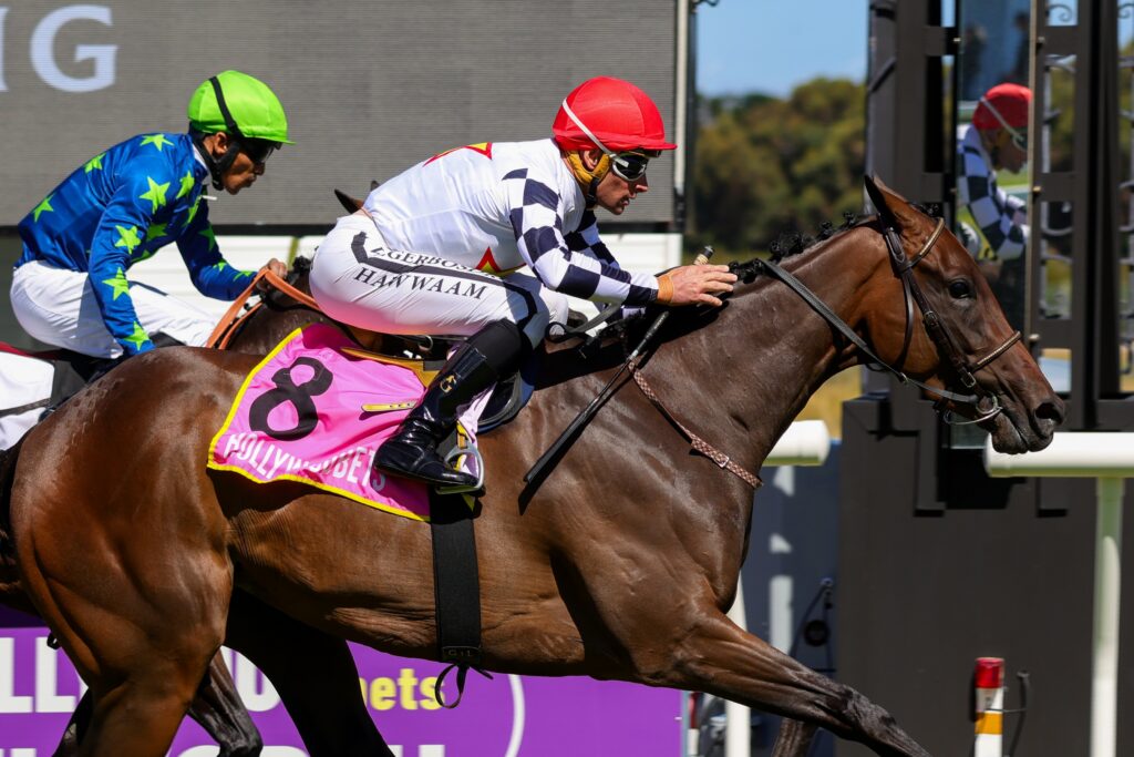 Sohot Sowhat looks hard to beat