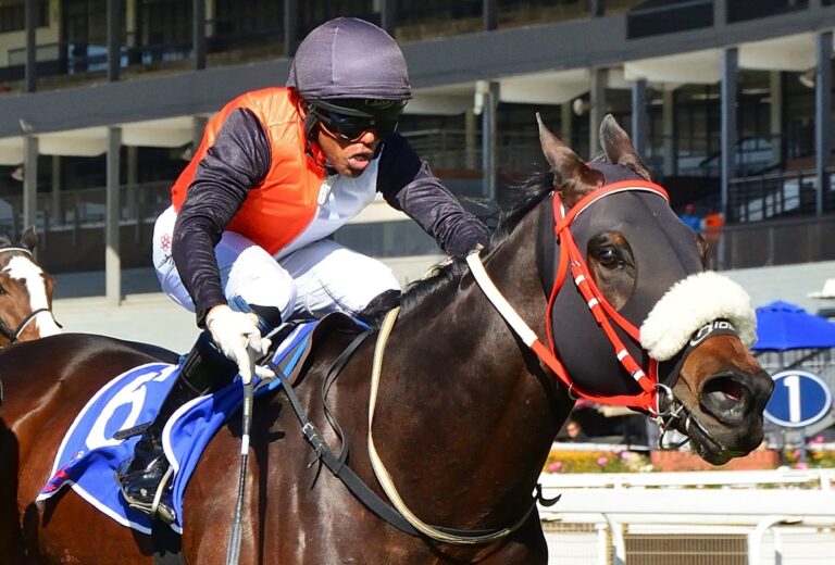 Soma set for Vaal double