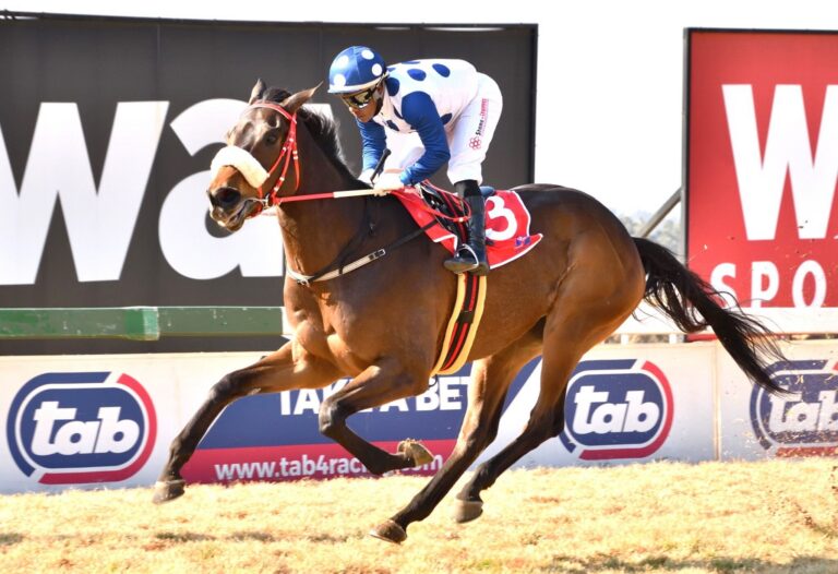 Soma springs back in business