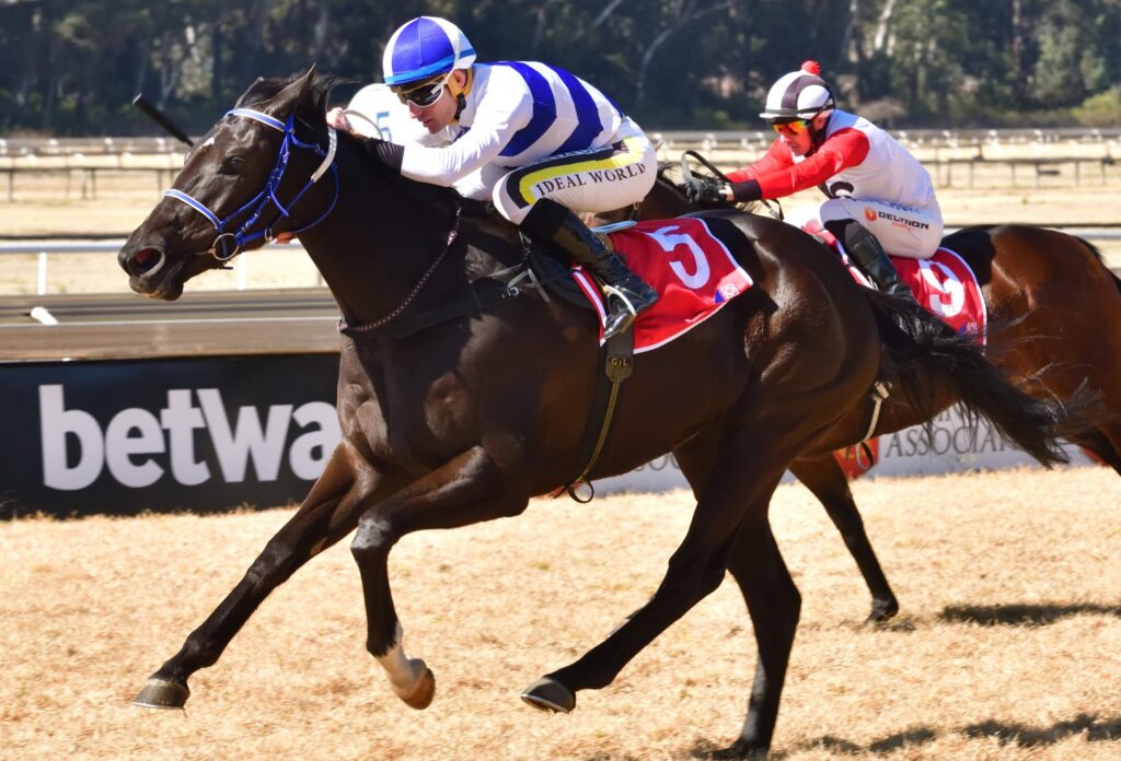 Soma’s Lady stands out