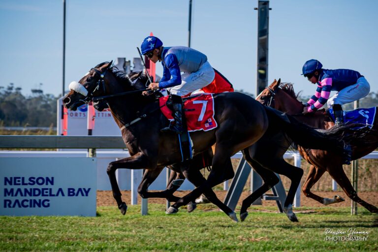 Some top bets at Fairview