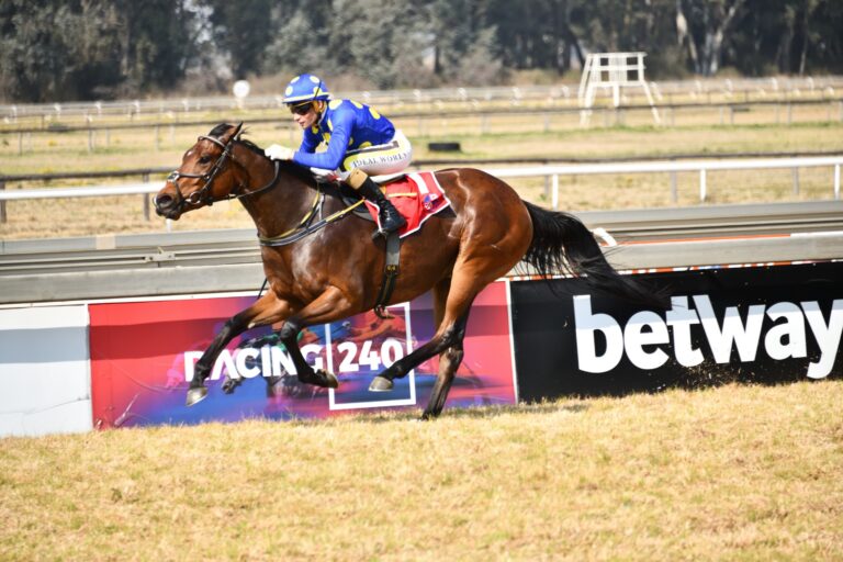 Sophomore stats a conundrum for punters