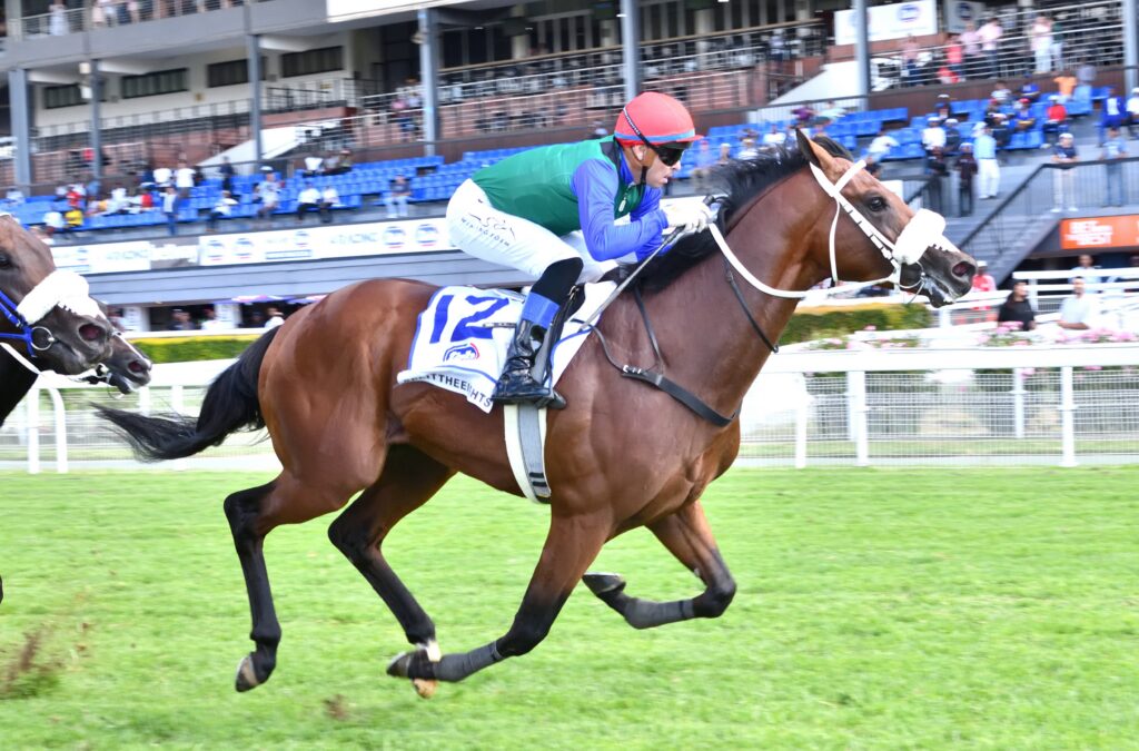 Splittheeights leaves bettors in a daze