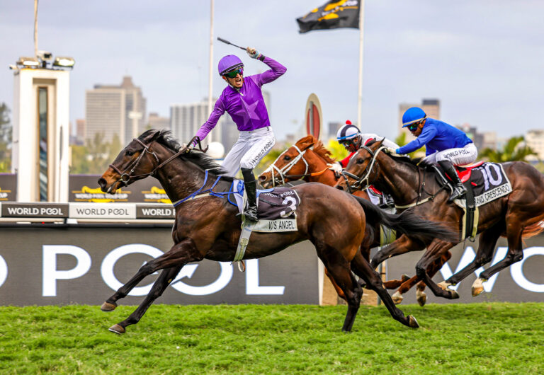 Spring Challenges set to thrill