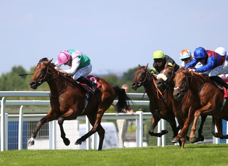 Starlore can shine in Solario