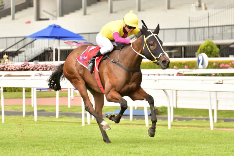 Stars out for Sprint dress rehearsals