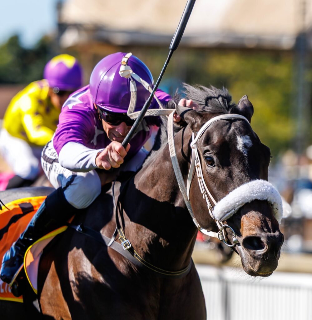 Stars to come out at Scottsville