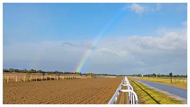 START OF POLY CHALLENGE