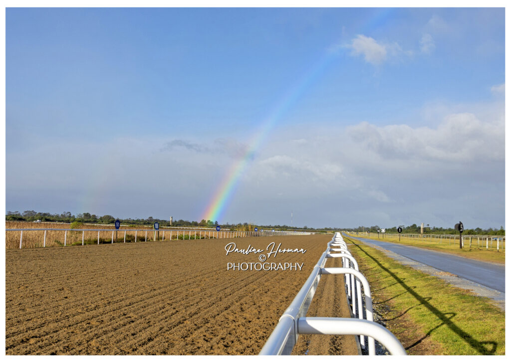 Start of Poly Challenge