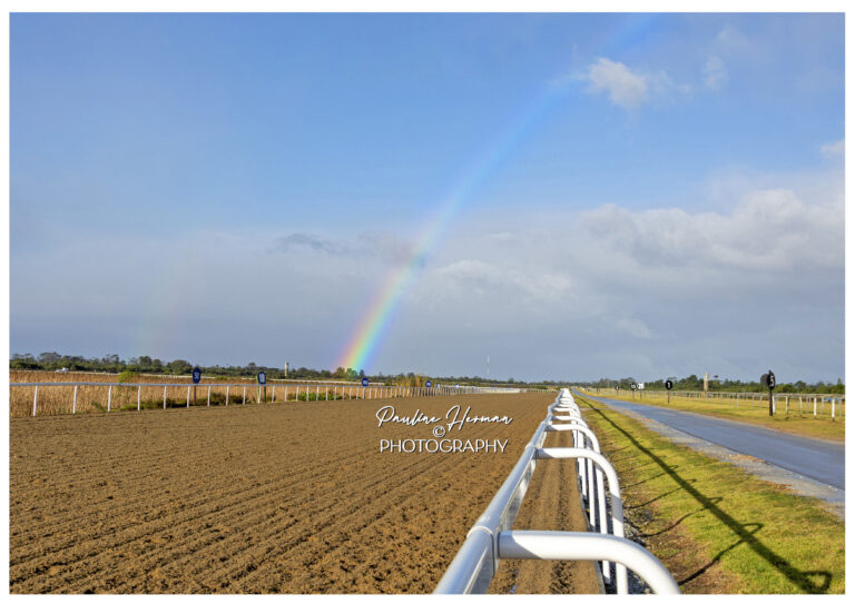 Start of Poly Challenge