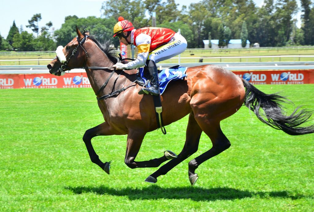 Starts of Highveld Winter Series