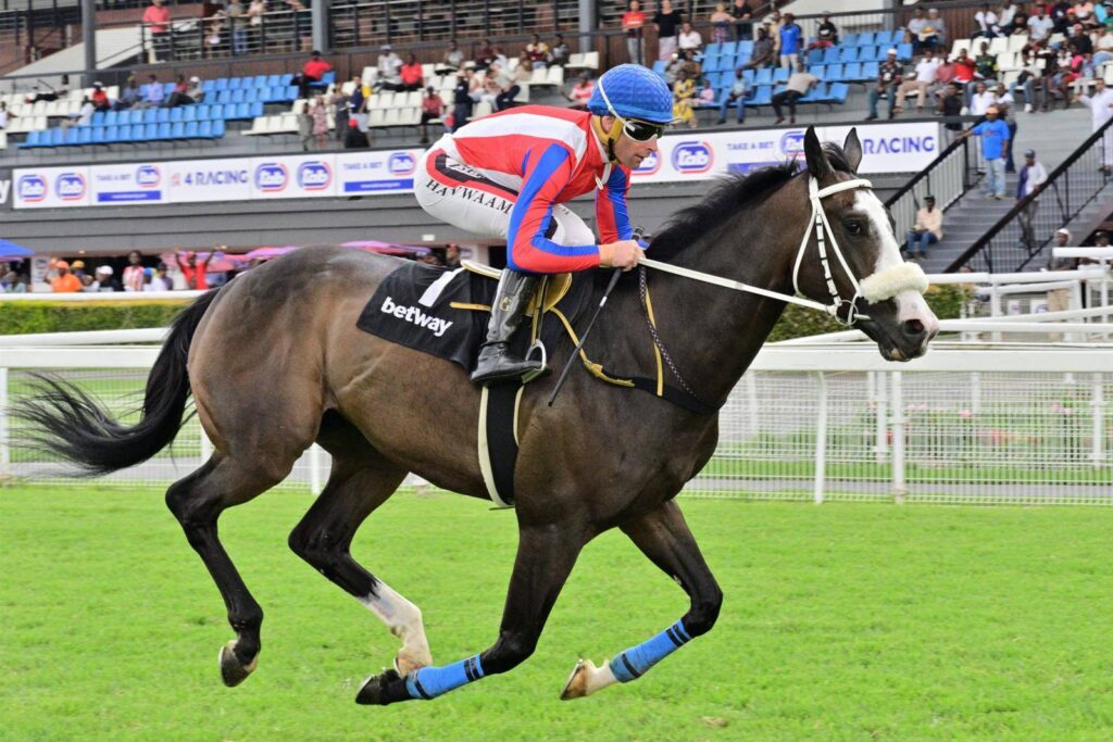 Statistics favour Zeus at Turffontein