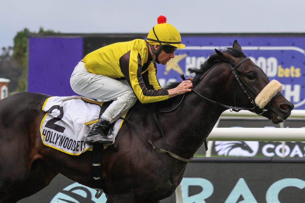 Strength lies with Kannemeyer, Zackey