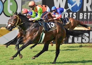 Strong entry for Guineas