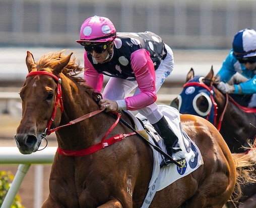 Strong field for Sha Tin Premier Cup