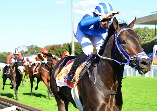 Success for Malmoos, Athena