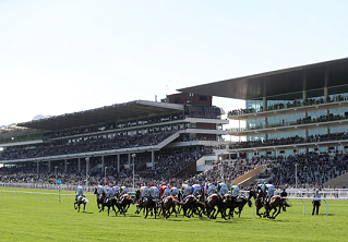 SUD MISSILE CAN SINK JONBON HOPES AT CHELTENHAM